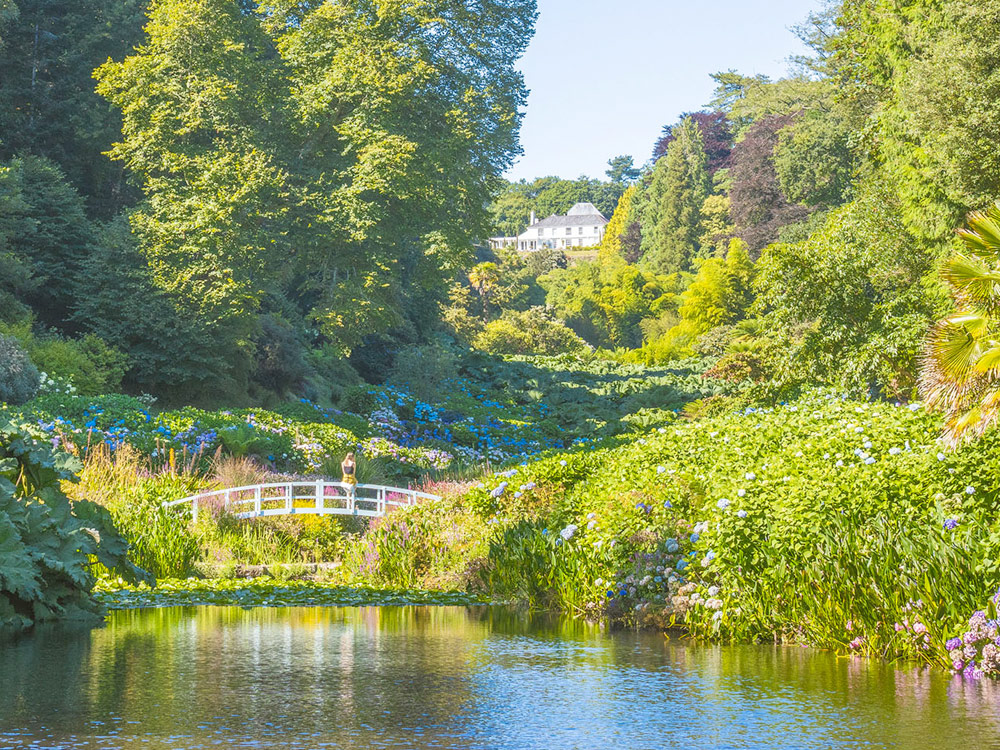 Trebah Garden, Falmouth